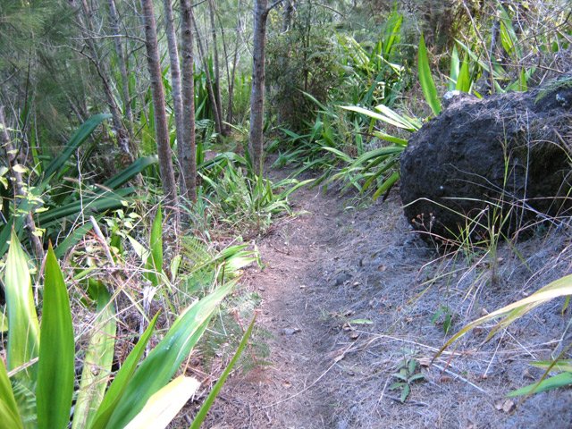 Sentier très propre vers la brèche