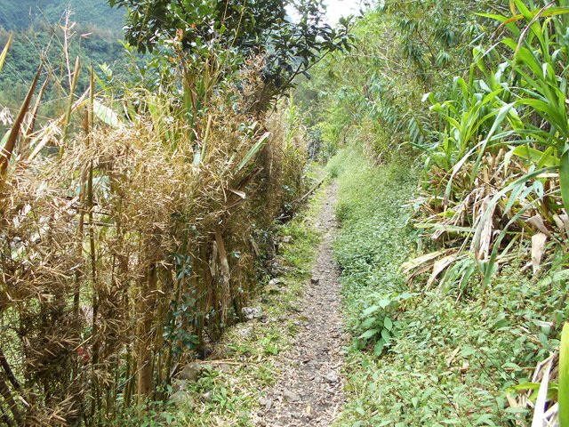 Premières traces de civilisation avant l'arrivée à Grand Galet