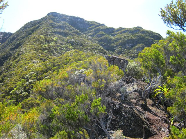 Une idée de ce qui reste à grimper pour atteindre le morne