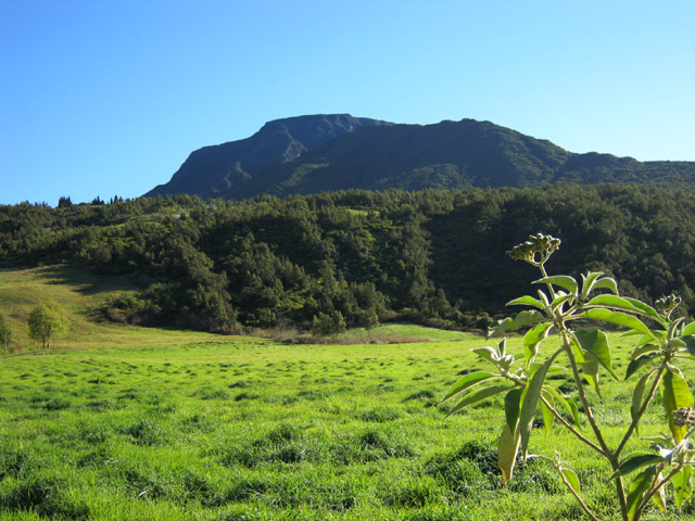 Encore 3 heures avant d'en atteindre le sommet à 5 km