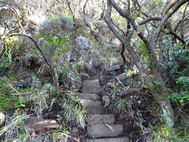 D'autres marches durant la forte montée