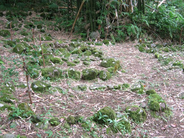 Endroit reculé et émouvant si on imagine qui peut bien reposer ici