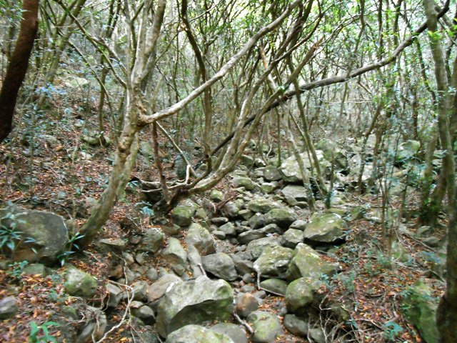 Certaines portions sont très caillouteuses