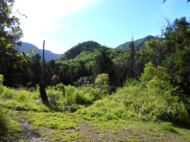 On a du mal à imaginer une esplanade où les prisonniers étaient alignés