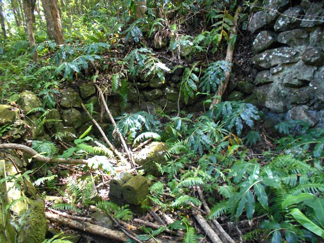 Dans le bois, près du cimetière, un vertige avec des pierres taillées