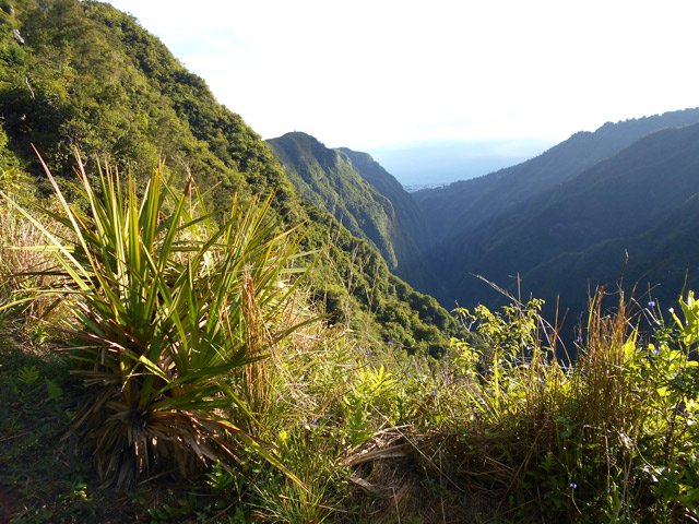 Petit coup d’œil vers Saint-Denis et la vallée de la Rivière Saint-Denis