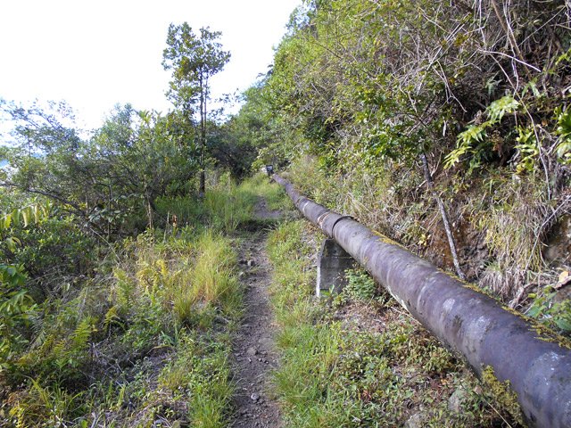 Les nettoyages successifs empêchent la végétation de trop envahir