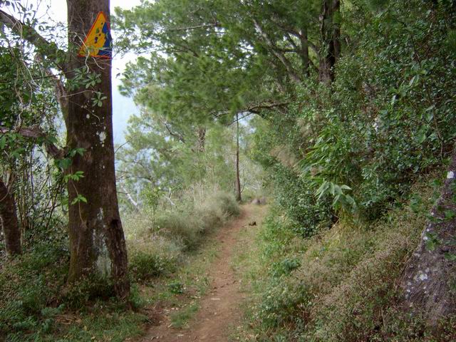 Agréable sentier sous les filaos. 'Attention aux chutes de pierres' précise le panneau