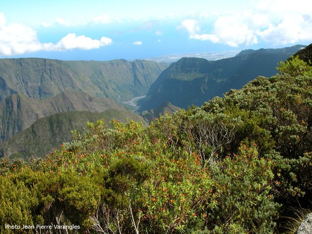 Vue sur Mafate et la Rivière des Galets avant de redescendre