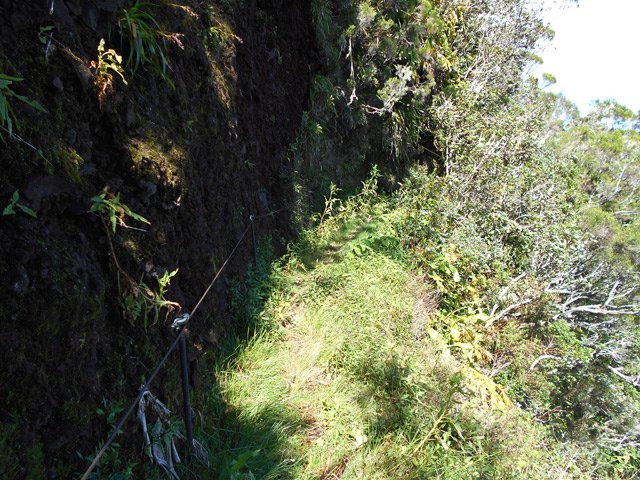 Une portion d'ancien éboulis sécurisée par un câble