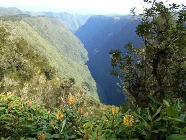 Magnifiques points de vue sur la Rivière Saint-Denis