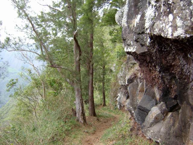 Le sentier qui descend pour rejoindre l'Ilet à Guillaume