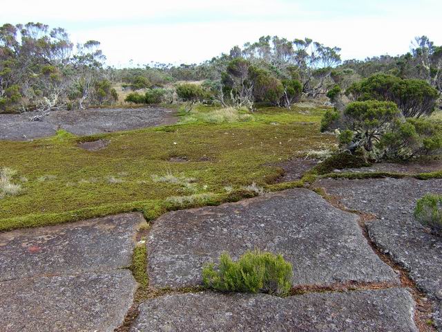 La zone quasi désertique de la Plaine des Chicots montant à la Roche Ecrite