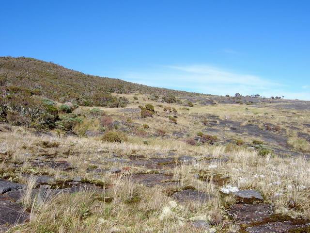 La Plaine des Chicots avant l'arrivée à la Roche Ecrite