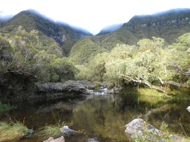 Après la pluie : Le bassin près de la route