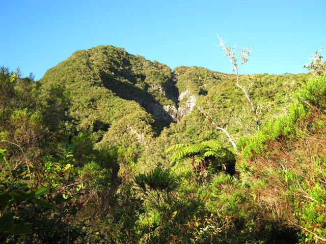 Magnifique nature tout au long du parcours