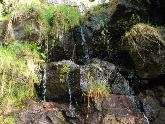 Des sources coulent un peu partout