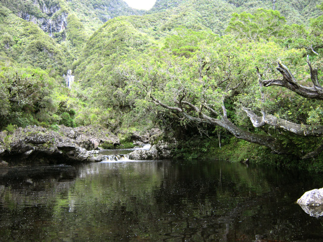 Le premier bassin visible de la route en période pluvieuse