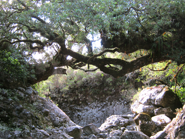 Les deux bois de rempart au-dessus des gouffres