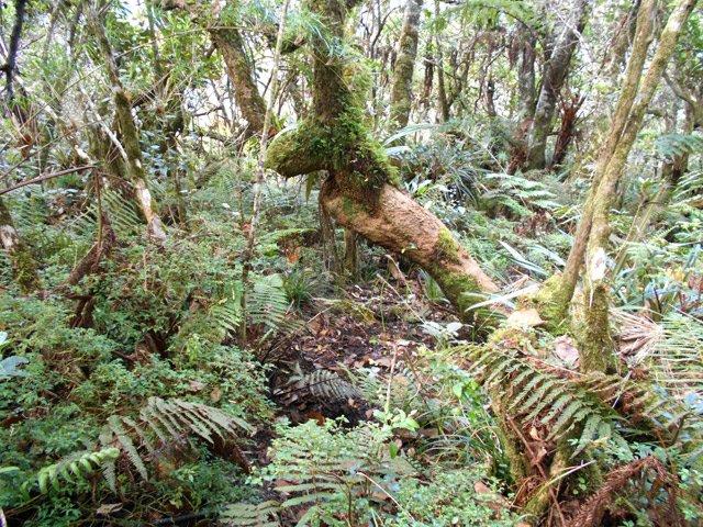 Le sentier est plus difficile à suivre mais ce n'est pas Koh-lanta !