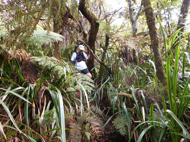 Les sabres sont assez nombreux dans certaines zones de la descente