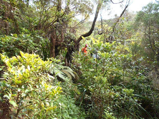 Passage étroit mais sentier marqué