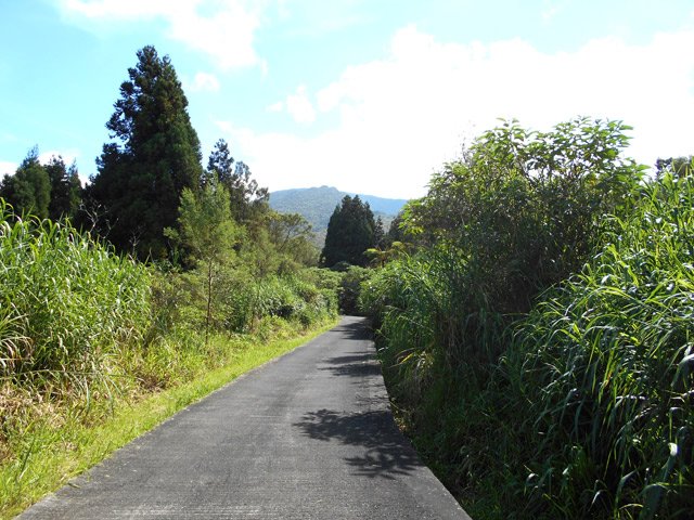 Agréable descente sur le Chemin des Géraniums