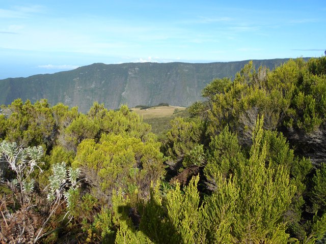 Le Piton du Rond et les trous de Cissia dans la prairie jaunie