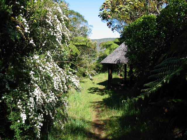 Le kiosque au début du sentier de découverte (qui a bien souffert)