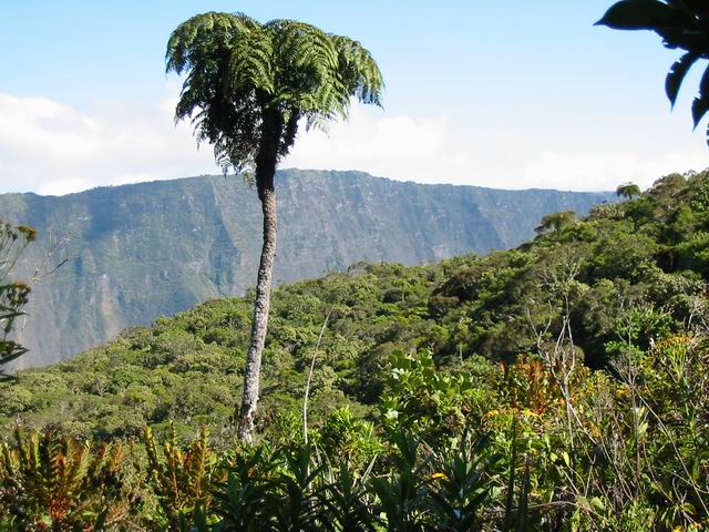 Le Rempart depuis la forêt de Grand Coude