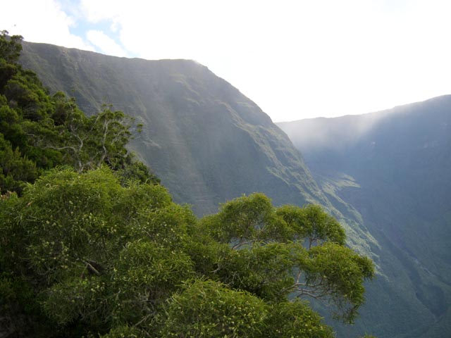 Le Morne Langevin vers la Plaine des Sables