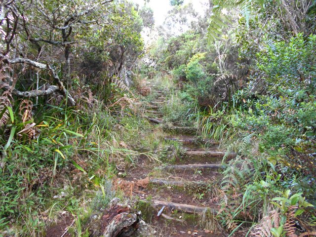Plus haut, les marches facilitent la grimpée, forte parfois