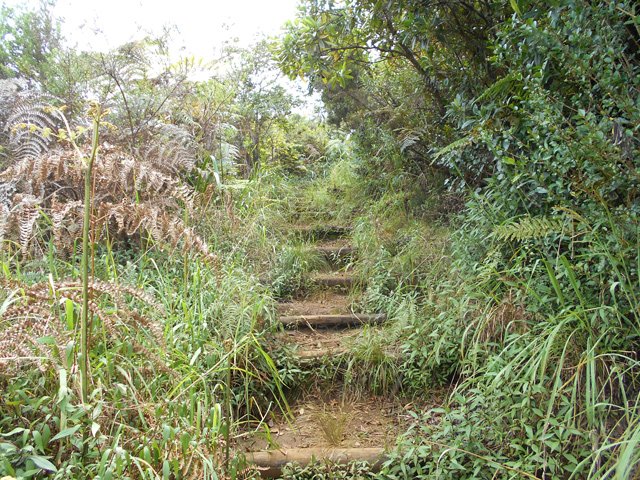 Là aussi, les herbes tentent de recouvrir le passage
