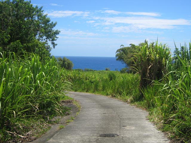 La fin du Chemin Isidore, 400 m avant d'arriver à la plage de galets