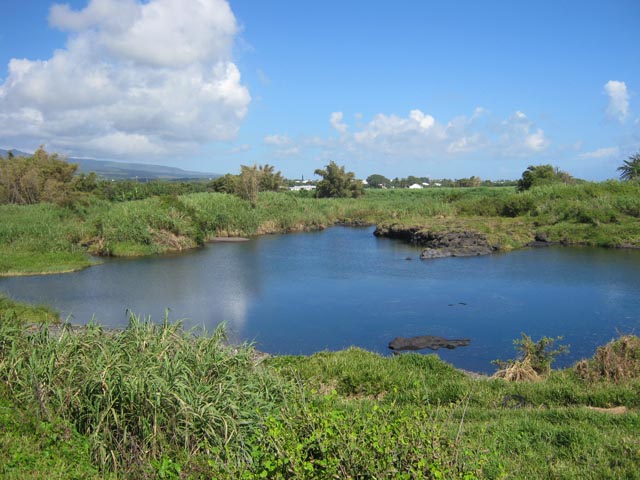 La retenue d'eau de la Ravine Sèche, très poissonneuse