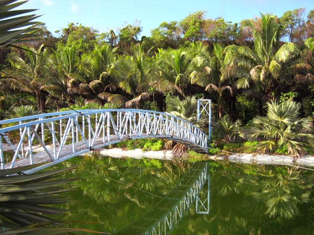 L'étang aux eaux vertes du Site des Orangers