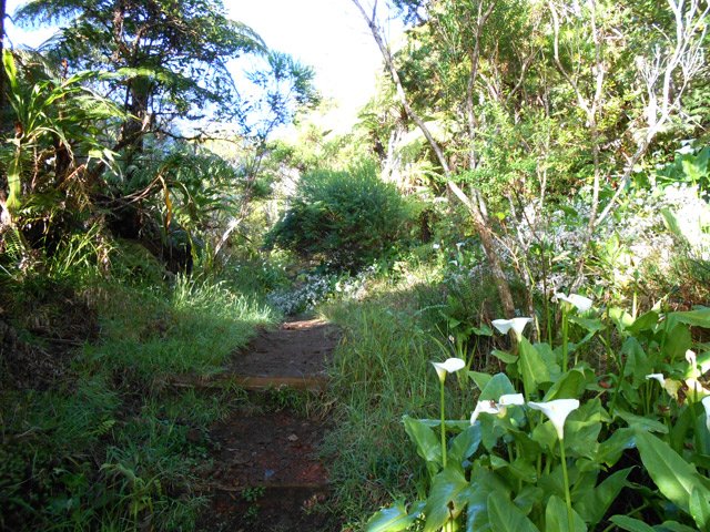 Portion plate et peu boueuse pour débuter