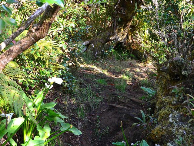 Une autre idée du sentier