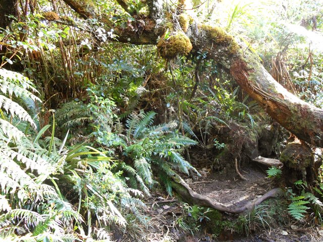 Il faut parfois se baisser