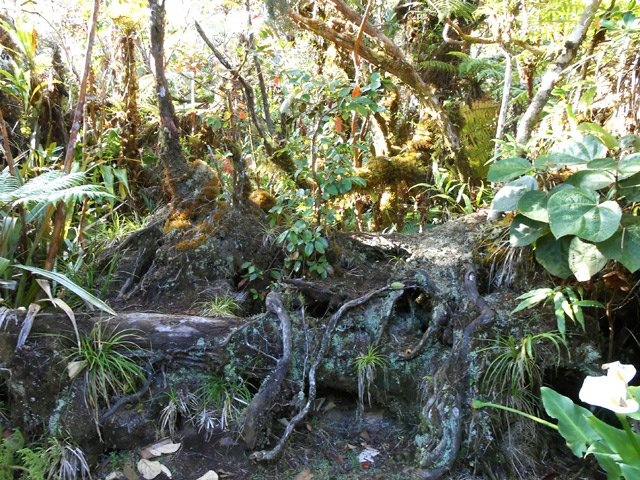 D'autres fois, il faut escalader