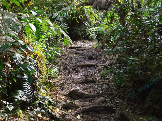 Encore des bois pour éviter la boue