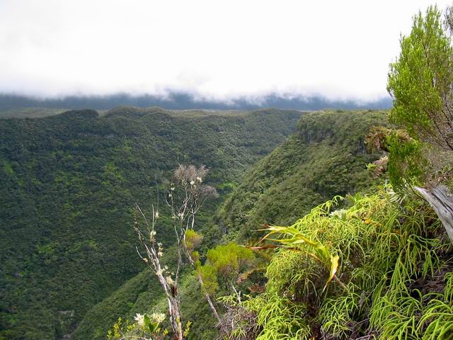 Cassé de Bras Tabac