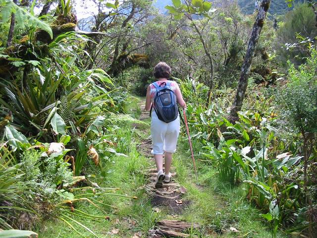 Une portion de sentier relativement sèche
