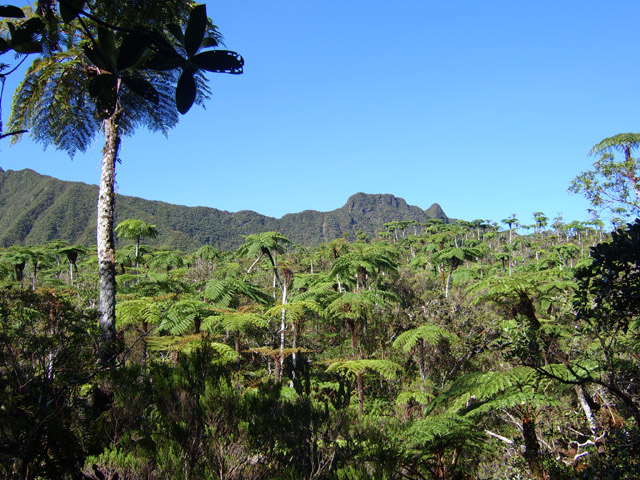 Le paysage se dégage à l'approche des cassés