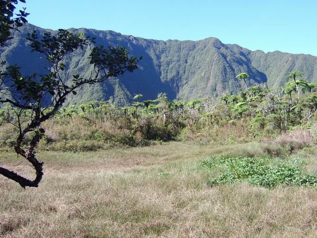 Le marécage avant l'arrivée au Cassé de Takamaka