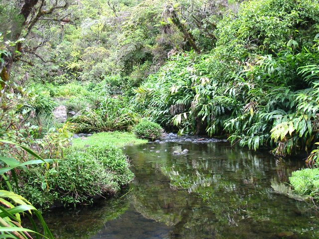 Peu d'eau coule dans le Bras Cabot