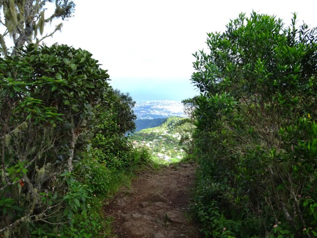 Le sentier devient plat en arrivant sur la crête sommitale