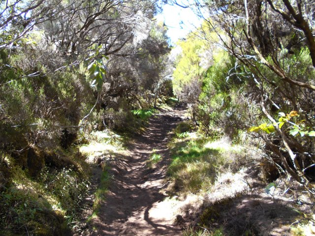 Le sentier bordé de branles contournant le Piton Tortue