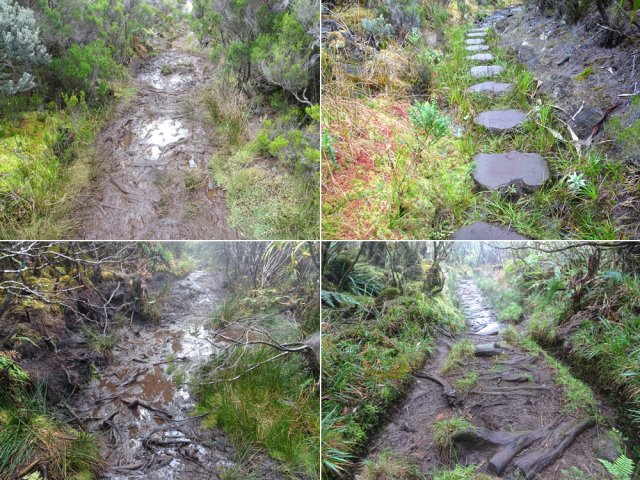 Les portions boueuses font trop vite leur apparition