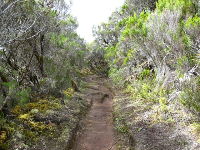 A partir de 1800 m, le sentier devient beaucoup plus agréable